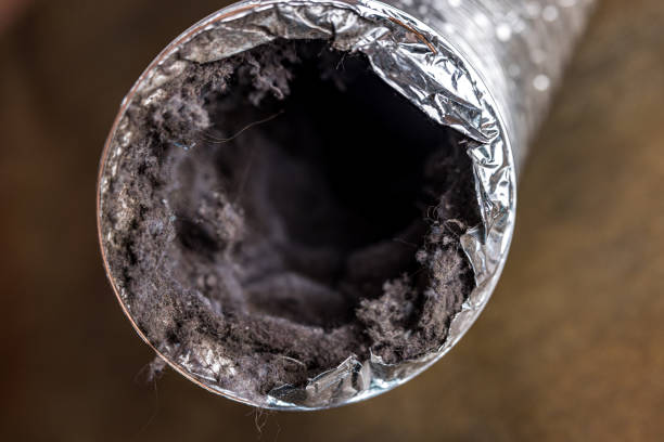 Best Air Duct Cleaning Near Me  in Lake Orion, MI