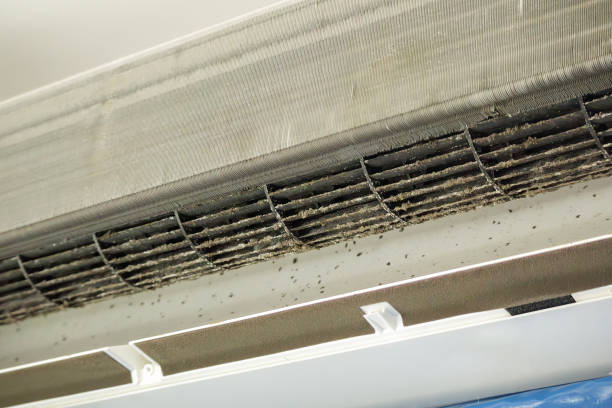 Best Air Duct Cleaning Near Me  in Lake Orion, MI